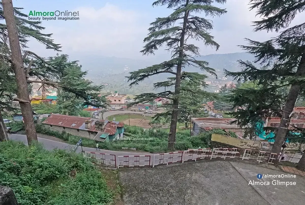 Deodar trees, hillside homes and a winding path in Almora
