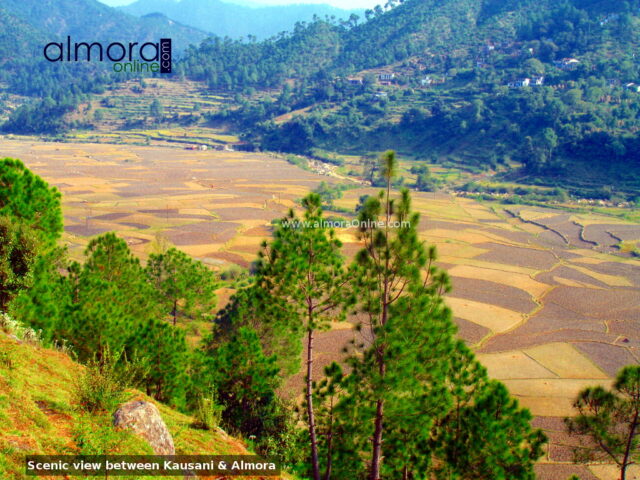 Scenic place between Kausani & Almora